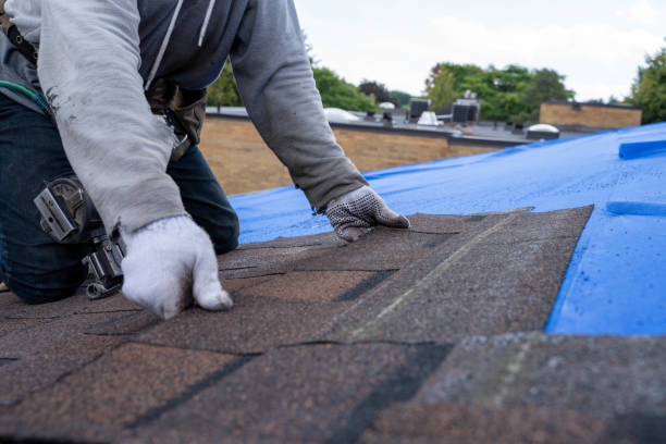 Professional Roofing service in Fyffe, AL